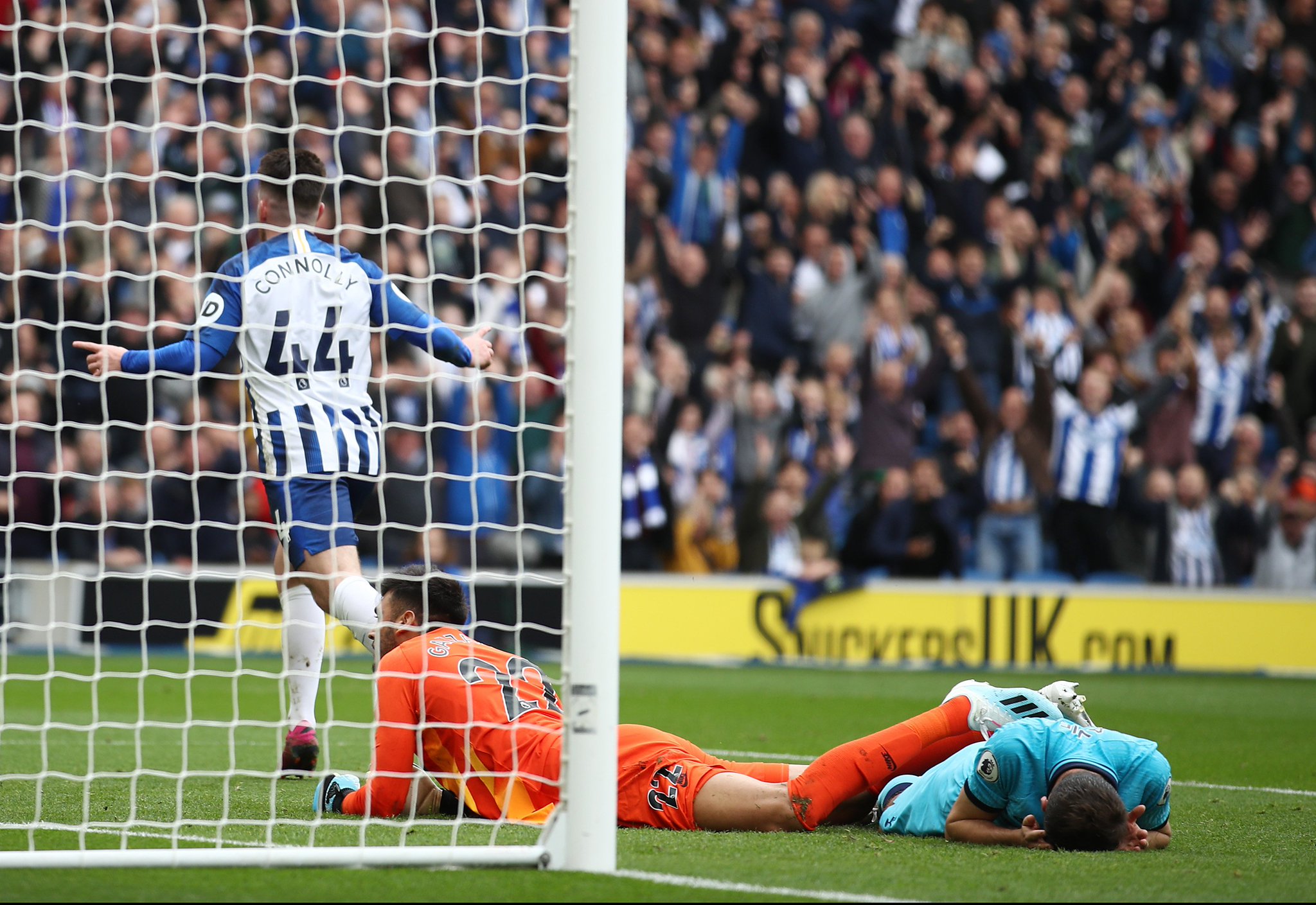 迪布林表达 迪布林表达