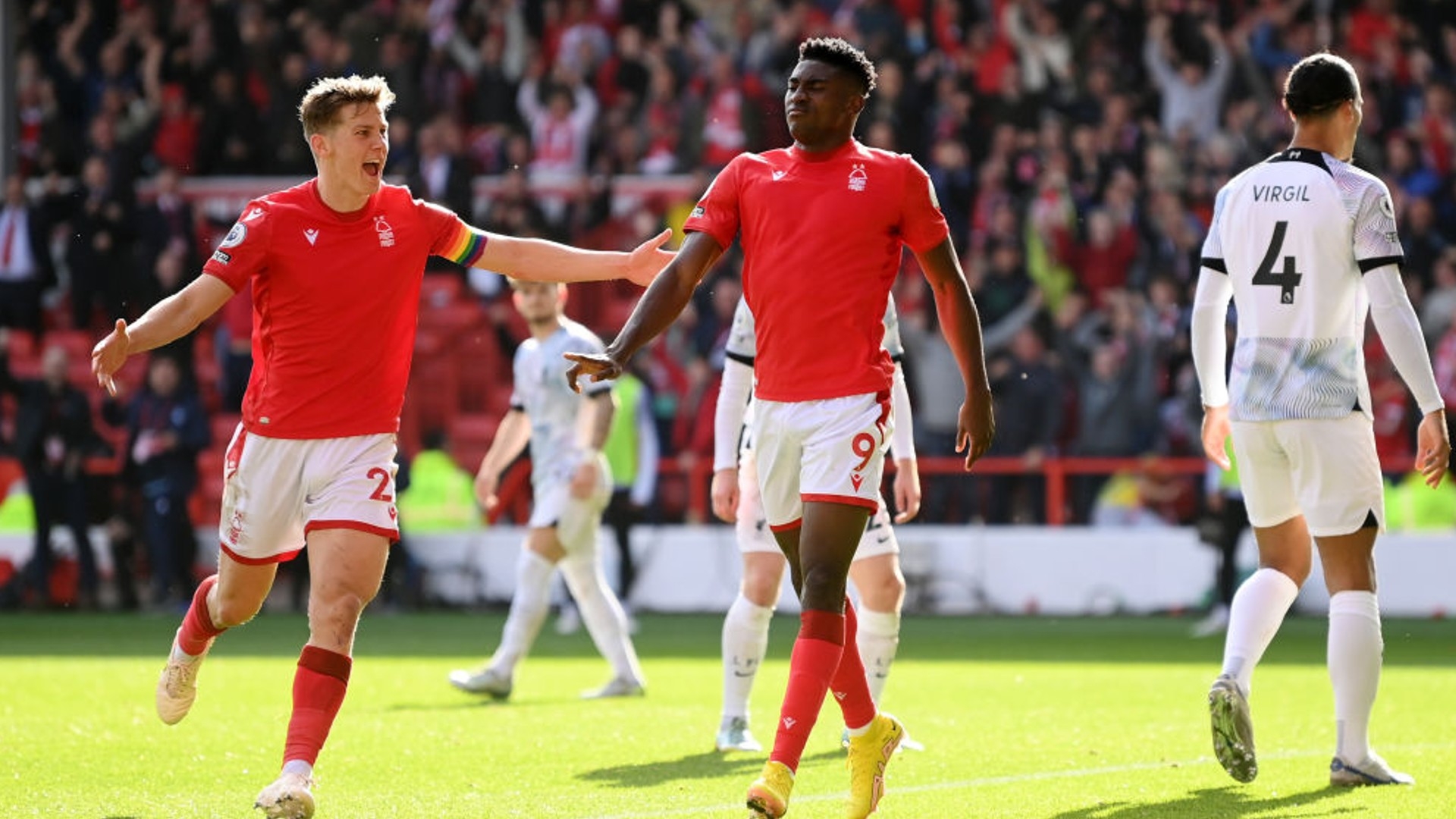 的生态里 的生态里