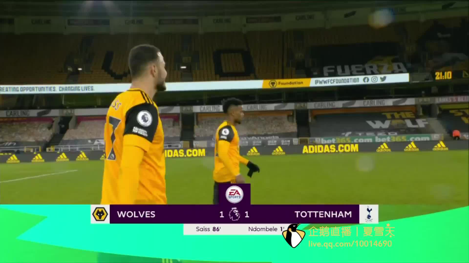 的新锐力量 的新锐力量