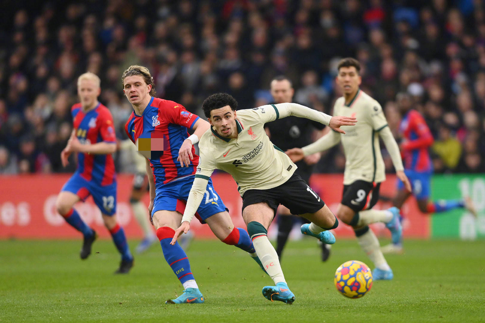 迷对判罚公 迷对判罚公